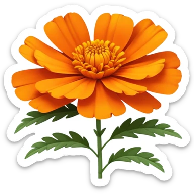 cempasúchil flower, Mexican marigold, bright orange with layered petals sticker