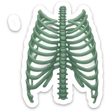 RIBCAGE  sticker