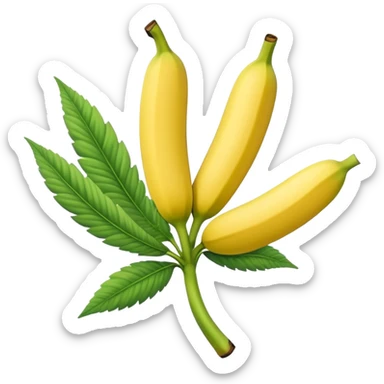 banana weed strain with a cannabis leaf accent sticker
