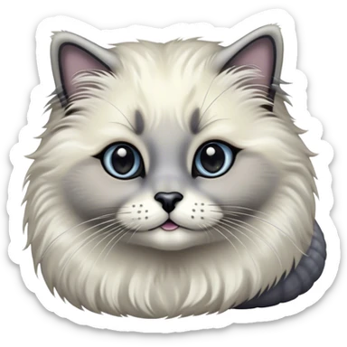 Cinematic Adorable Fluffy Grey Seal Ragdoll Cat Portrait Emoji, Head tilted cutely with big, sparkling eyes, soft grey fur with darker seal points on the ears, face, and paws, Simplified yet irresistibly adorable features, highly detailed, glowing with a soft, warm glow, high shine, affectionate and playful, stylized with a touch of whimsy, bright and endearing, soft glowing outline, capturing the essence of a curious and loving kitten, so cute it feels like it could leap out of the screen and snuggle up for a cuddle! sticker