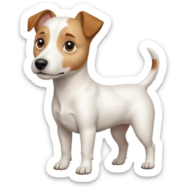 a full body white jack russel looking dog the size of a kelpie with light brown ears and a light brown patch on one eye and a large snout sticker