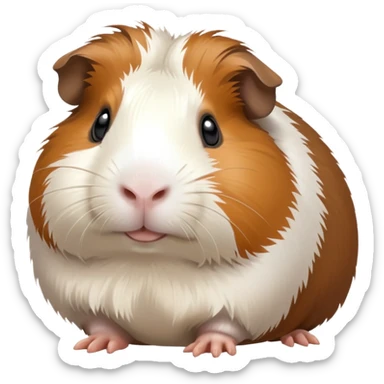 Meerschweinchen  sticker