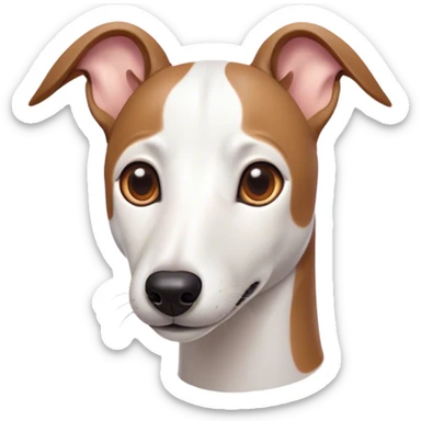 Cinematic Cute White and Brown Greyhound Portrait Emoji, Head tilted playfully and inquisitively, featuring a smooth white Fur with vibrant brown accents and round, sparkling eyes filled with curiosity, Simplified yet irresistibly adorable features, highly detailed, glowing with a warm, friendly glow, high shine, affectionate and nimble, stylized with a touch of whimsy, bright and endearing, soft glowing outline, capturing the essence of a mischievous yet loving racer, so playful it feels like it could sprint out of the screen and into your arms! sticker
