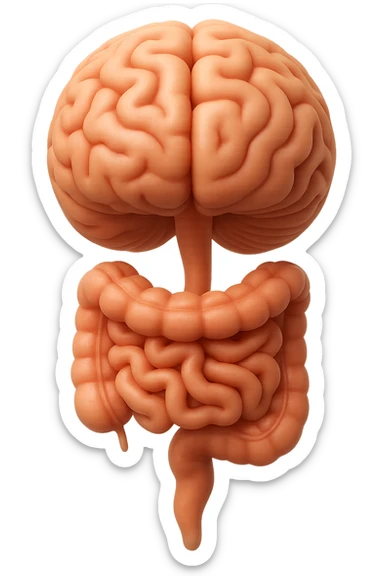 emoji stile iphone in 3d di cervello e intestino collegati verticalmente, iperrealistico 4k sticker