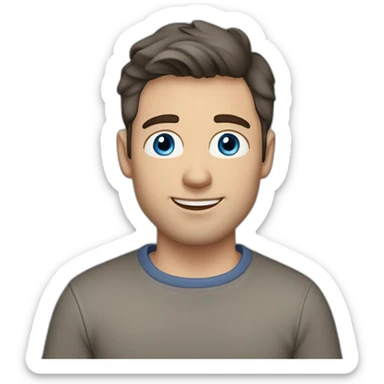 white guy, 30 years old, dark hair, medium height, blue eyes, wearing a grey pullover, gray chinos and brown chelsea pants sticker