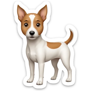 a full body white jack russel looking dog the size of a kelpie with light brown ears and a light brown patch on one eye, flopped down ears and a large snout sticker