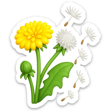 Create a square 3D illustration of a dandelion with fluffy seeds flying in the wind, in the style of iOS Apple emoji. The dandelion should have a volumetric yellow flower, green leaf, and fluffy seeds, all on a transparent background. The style should mimic the detailed, smooth, and vibrant look of Apple emojis. sticker