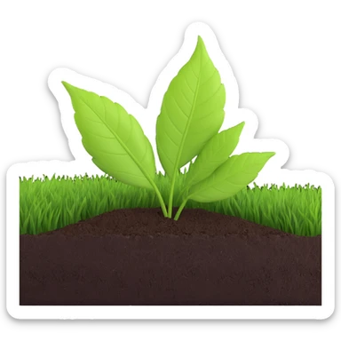A fresh green leaf placed on soil or grass, clearly above the ground. sticker
