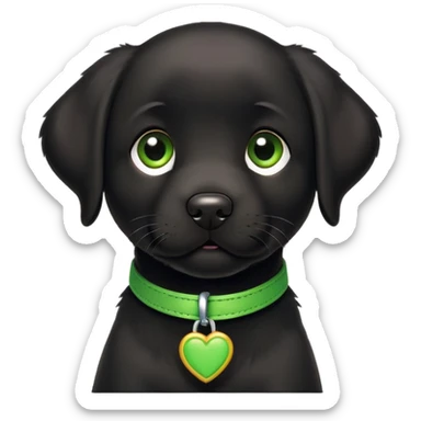 black labrador puppy with green collar sticker