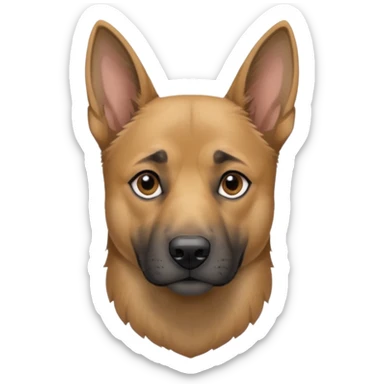 chien Malinois croisé, couleur poils grise, yeux gris et poils mi long sticker
