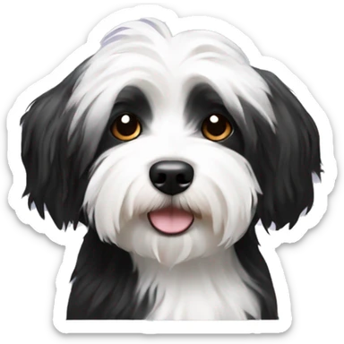 Black and white havanese sticker