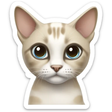 Thai breed adult cat with a light cream-brown body, dark gray nose and face, ears, and paws. sharp ears, and striking light blue eyes  sticker