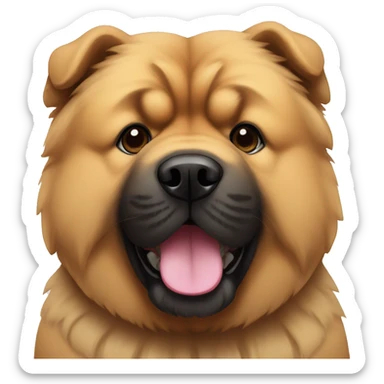 Chow-chow with black muzzle sticker