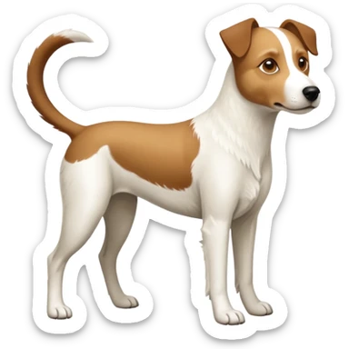 a full body large white parson russell looking dog the size of a kelpie with light brown flapped down ears and a light brown patch on one eye and a large snout sticker