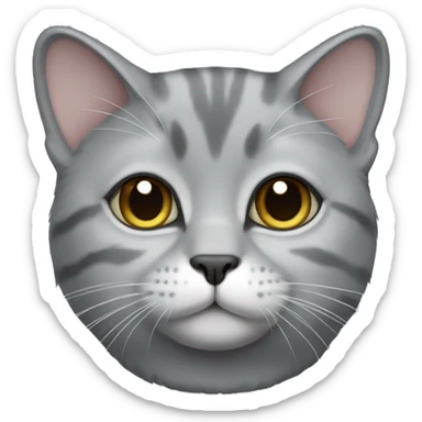 Scottish silver Chinchilla cat sticker