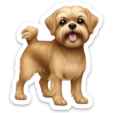 underbite beige shorkie dog full body shot sticker