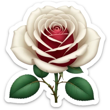 white rose, without green leaves, just flower sticker
