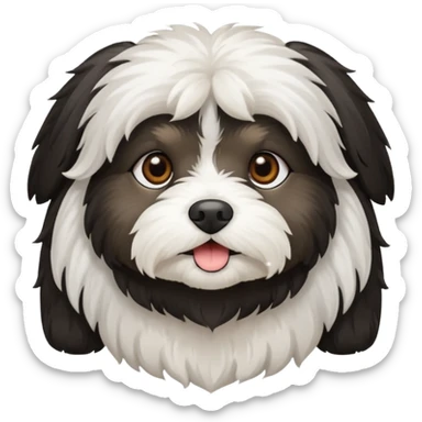 Black and white Havanese dog sticker
