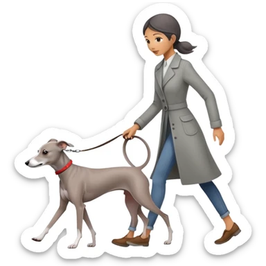 Beautiful Asian girl walking a solid grey Italian greyhound with absolutely no white markings, completely grey dog sticker