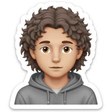 18 year old boy siren eyes good jawline with grey hoodie and long brown wavy curly wolf cut hair sticker