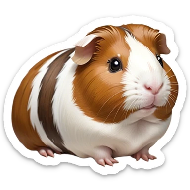 Cinematic Noble Brown and White Banded Guinea Pig Portrait Emoji, Poised and regal, with a compact, chubby build and a uniquely patterned fur of warm brown and crisp white banding, deep-set soulful dark eyes, Simplified yet sharp and sophisticated features, highly detailed, glowing with a soft, dignified glow, high shine, intelligent and charming, stylized with an air of distinctive elegance, focused and attentive, soft glowing outline, capturing the essence of a watchful and confident companion, so majestic it feels as though it could scurry out of the screen with effortless authority! sticker