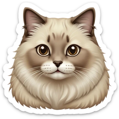 Cinematic Adorable Fluffy Brown Seal Ragdoll Cat Portrait Emoji, Head tilted elegantly with big, sparkling eyes, soft brown fur with darker seal points on the ears, face, and paws, Simplified yet regal features, highly detailed, glowing with a soft, warm glow, high shine, affectionate and playful, stylized with a touch of grace, bright and endearing, soft glowing outline, capturing the essence of a majestic and loving kitty, so elegant it feels like it could spring into motion with a regal leap! sticker
