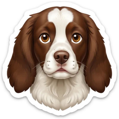Brown faced springer spaniel  sticker