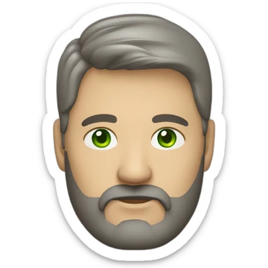 fat middle aged developer short dark brown graying hair goatee with green eyes wearing hoodie sticker