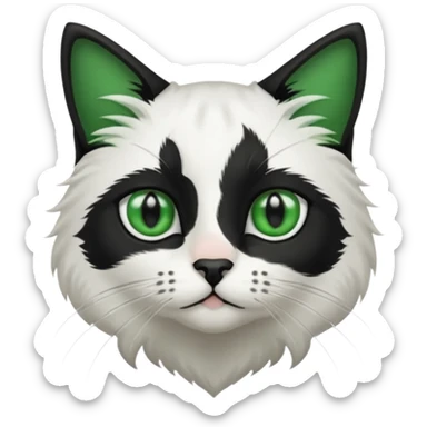 black and white long hair cat. green eyes. black nose. black splotch in the shape of a star near nose (on the right side). sticker