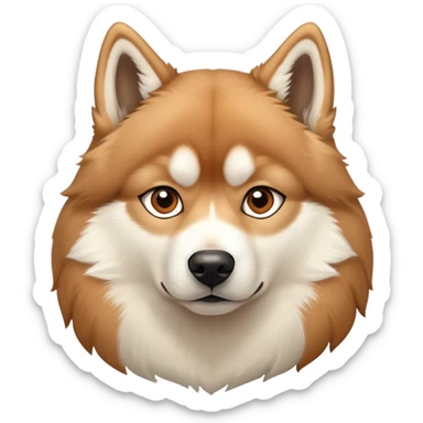 Light Brown Husky  sticker