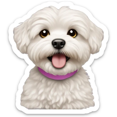 maltipoo Lola sticker