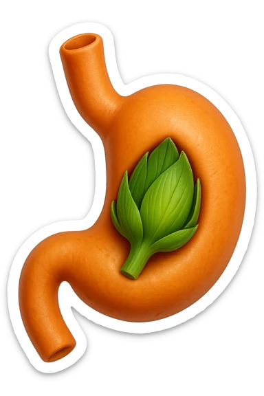 emoji stile iphone 3d di uno stomaco umano con una foglia di carciofo dentro, iperrealistico 4k sticker