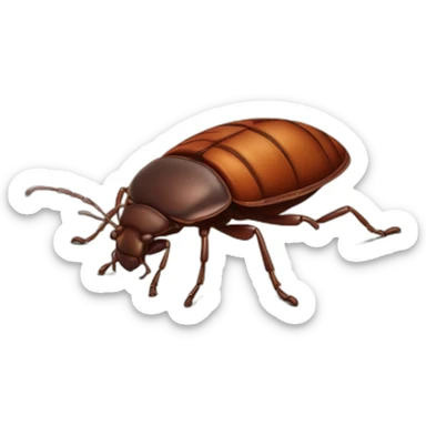 bedbug sticker