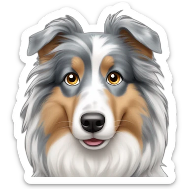 Blue merle shetland sheepdog side eye sticker