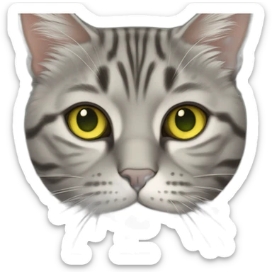 american short hair cat- tabby- a little bit fat- green yellow eyes- the distances between eyes is a little bit far- gray hair fluffy- short face- sticker
