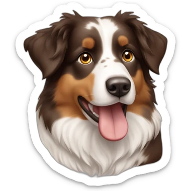 Australian Shepherd mit hellbraunem weißem und dunkelbraunem Fell sticker