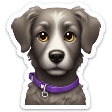 Black dog wit curly hair. White hair under the nose and mouth. Brown eyes with a black pupil in it. And a purple leash.  sticker