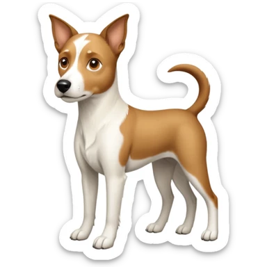 a full body large white parson russell looking dog the size of a kelpie with light brown flapped down ears and a light brown patch on one eye and a large snout sticker