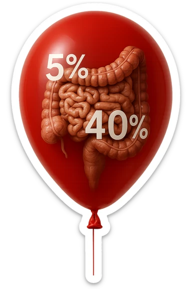 intestino umano anatomico chiuso in un palloncino rosso con la scritta 5% e 40% dentro insieme all'intestino, iperrealistico 4k sticker