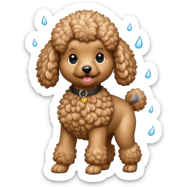 perrito caniche secando el pelo sticker