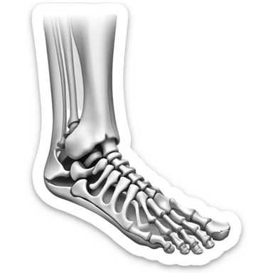 x-ray of foot bones, medical scan of foot skeleton sticker