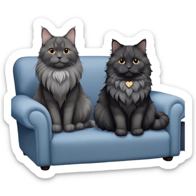 A large black smoke Maine Coon cat with long grey ear tufts and a fluffy grey ruff, sitting next to a chubby British Shorthair cat in blue color with plush fur, both sitting comfortably on a sofa. Beautiful room background with flowers and soft lighting. Transparent background. sticker