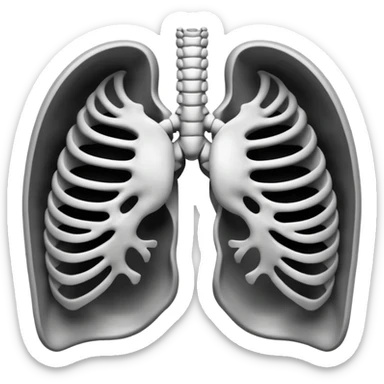3D render of Ribcage, X-Ray imaging aesthetic, translucent materials showing internal structure, skeletal chest bones in high contrast black and white, medical scan style, Apple emoji style, isolated on white background --v 6.0. sticker