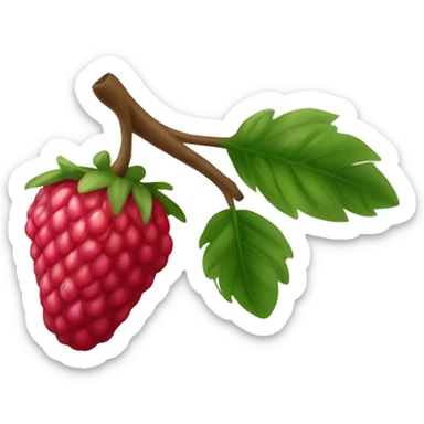 Framboesa  fruta sticker