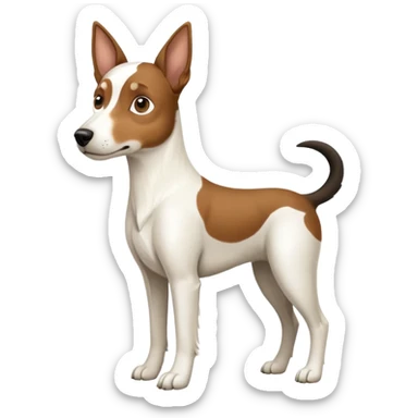 a full body large white floppy eared parson russell looking dog the size of a kelpie with light brown ears and a light brown patch on one eye and a large snout sticker