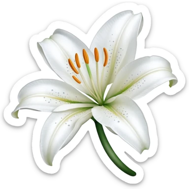 A cute gorgeous beautiful shiny glittery shimmering soft smooth hyperrealistic white Lily flower Corolla blossom bloom (without the stem) sticker