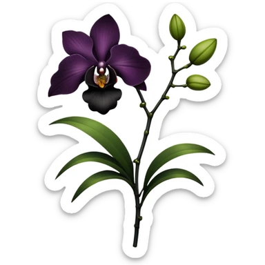 Dark green Flower stem with a black orchid sticker