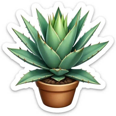 Agave plant sticker