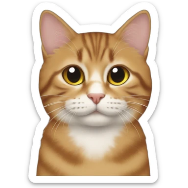 🐱 sticker