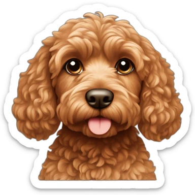 Reddish light brown cockapoo sat down sticker